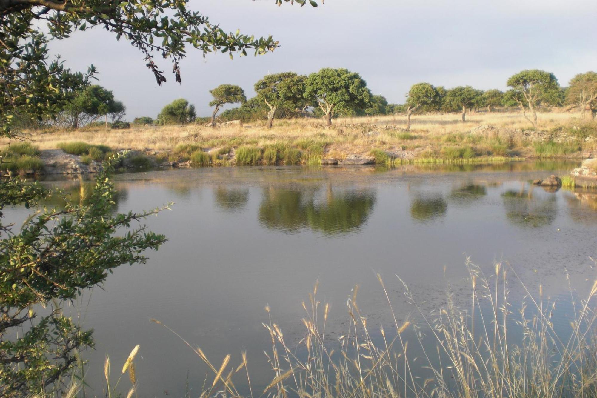 Agriturismo Pentuma Chiaramonti Zewnętrze zdjęcie