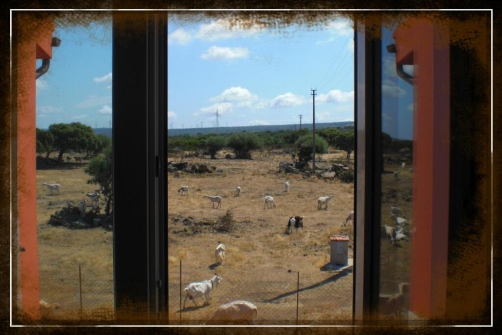 Agriturismo Pentuma Chiaramonti Pokój zdjęcie