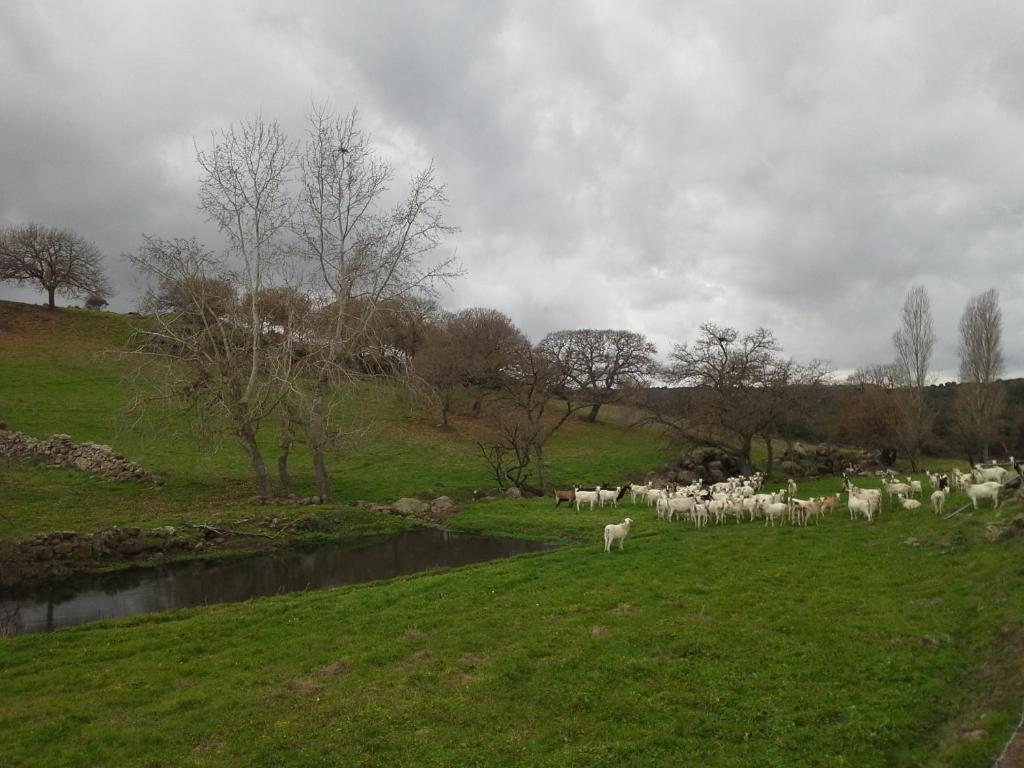 Agriturismo Pentuma Chiaramonti Zewnętrze zdjęcie